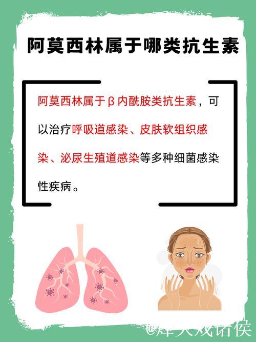 阿莫林:这是一场全家都感到有趣的比赛 阿莫林:这是一场全家都感到有趣的比赛